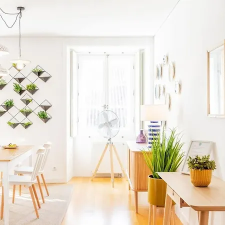 Apartment Plum Guide - The Xylophone